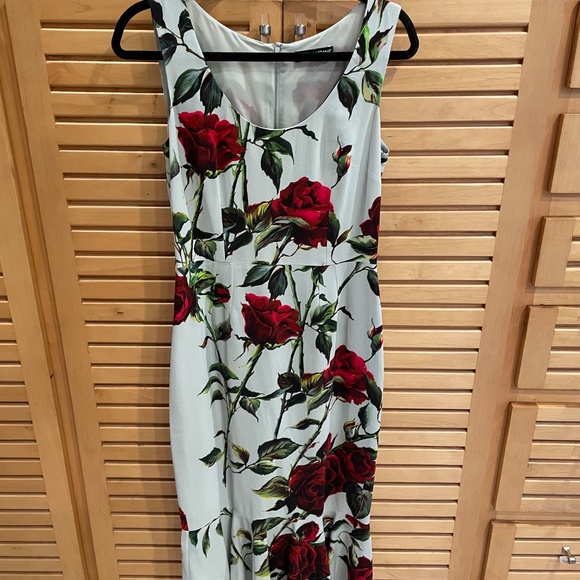 NWT Dolce & Gabbana Dress Mint Green and Red Roses - Picture 6 of 13